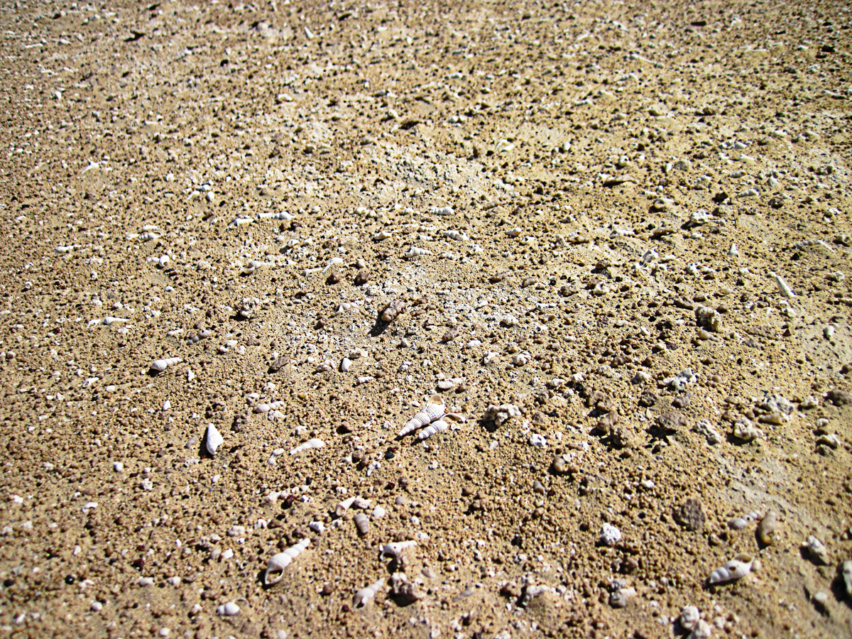 Erta-Ale-:-Coral-sand-.jpg